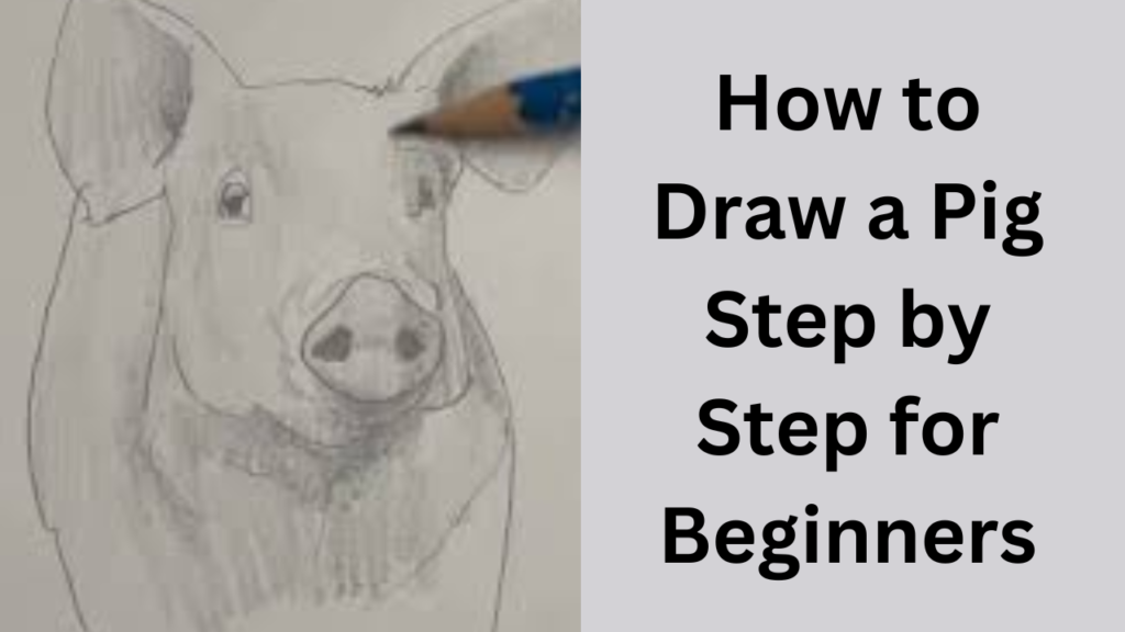 How to Draw a Pig Step by Step for Beginners